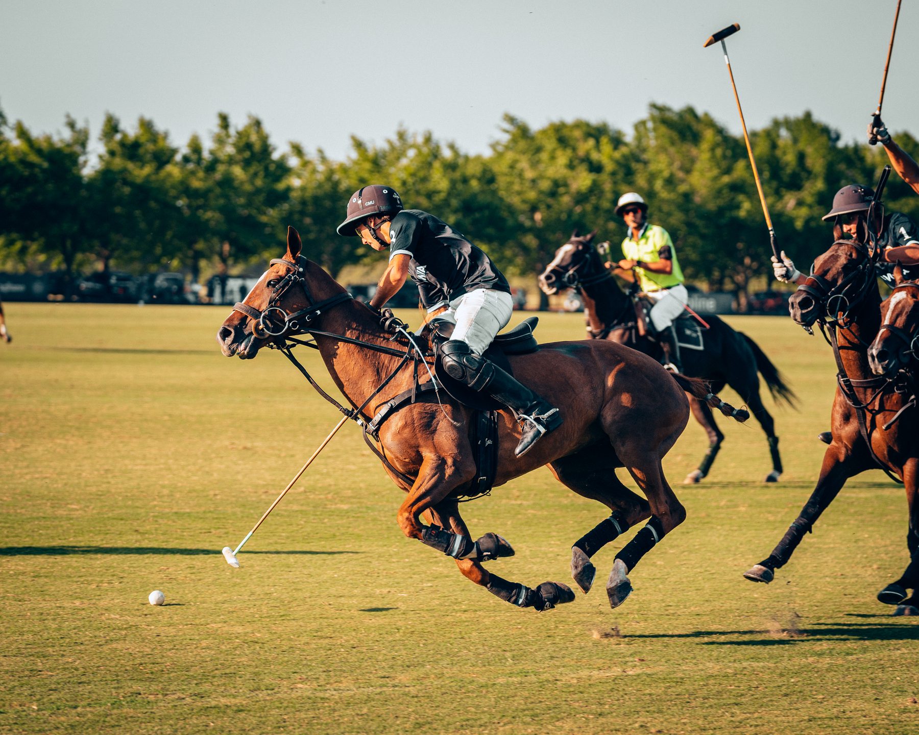 Polo